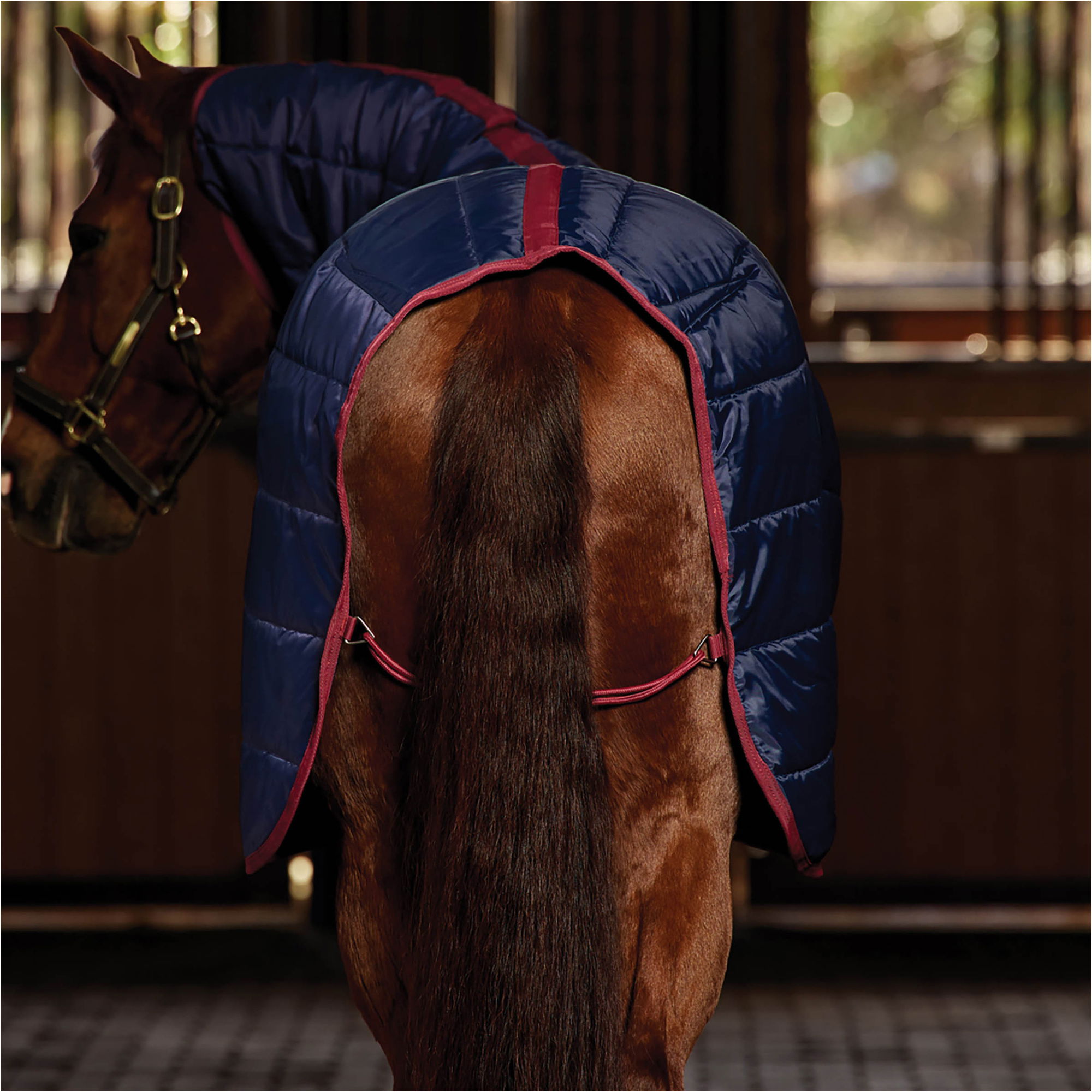 2026 WeatherBeeta Couverture D'écurie Combo 1031483 - Navy / Burgundy